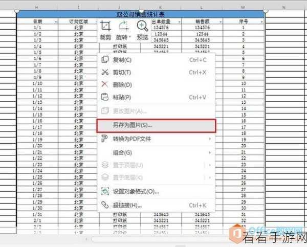 WPS Excel 设定手机号 11 位输入长度秘籍