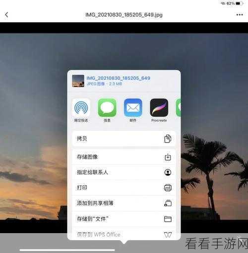 轻松掌握 Picture Manager 查找本地图片秘籍