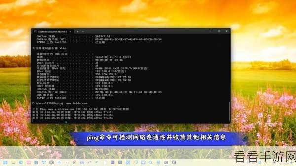 Android 系统中 Ping 命令网络带宽限制全攻略