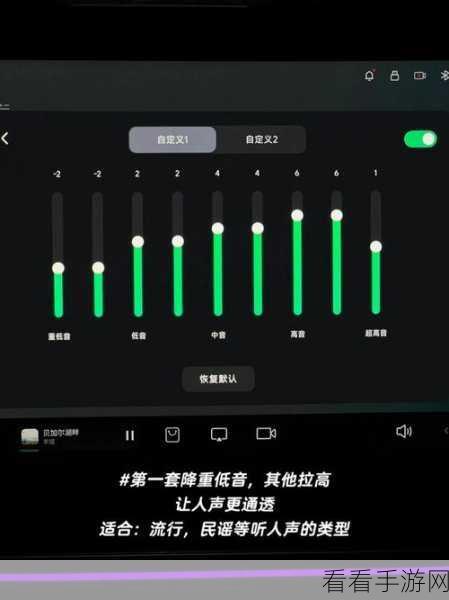 轻松掌握会声会影音量调节秘籍