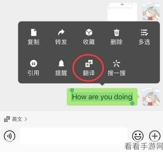 微信扫一扫中文翻译秘籍大公开