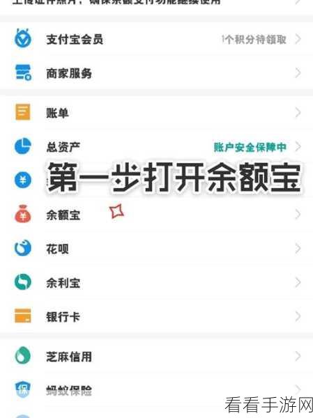 支付宝冻结资金解冻秘籍，详细图文教程大揭秘