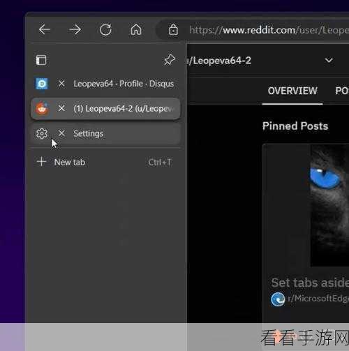 轻松搞定！Edge 浏览器标签栏移至左侧秘籍