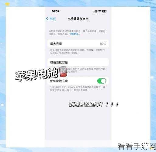 苹果电池续航探秘，10 个月后寿命 93%是否正常？