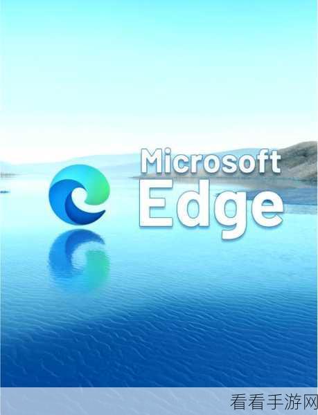 轻松掌握！新版 Edge 浏览器查看网站源代码秘籍