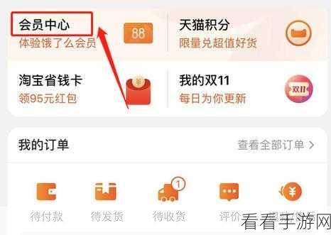 轻松掌握,淘宝淘气值查看秘籍大公开
