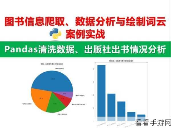 Python 爬虫高级数据清洗的绝妙技巧大揭秘