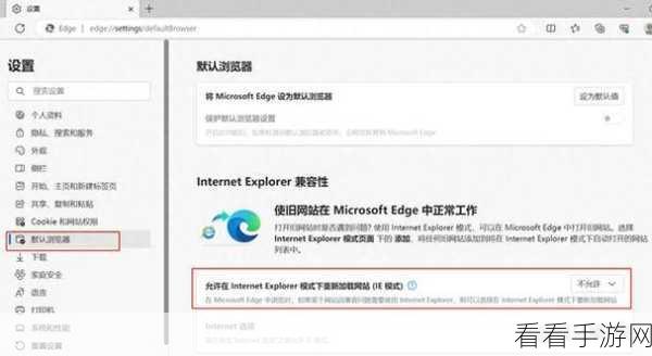 轻松掌握！Edge 浏览器实现双网页同显秘籍