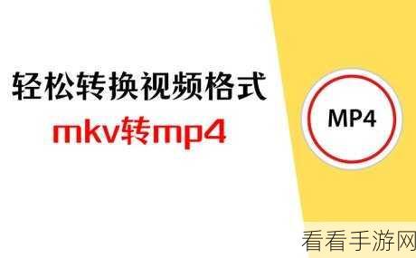 轻松搞定视频格式转换——大黄蜂转码助手秘籍
