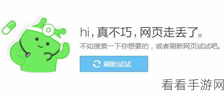轻松搞定！360 安全浏览器视频编码方式更改秘籍