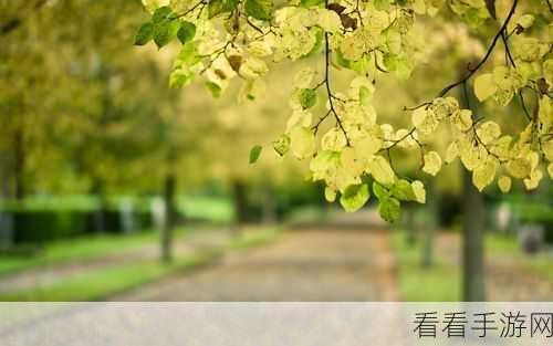 瞬间回到桌面的绝佳秘籍——超实用显示桌面技巧大揭秘