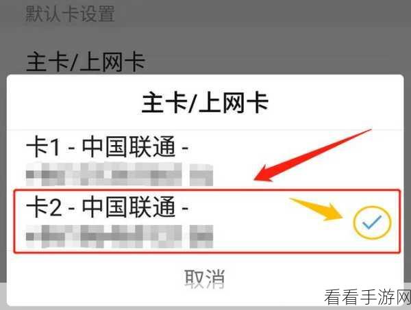 苹果 13 专属流量卡设置秘籍大公开