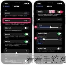 iPhone 直通手势旁白音效轻松设置秘籍
