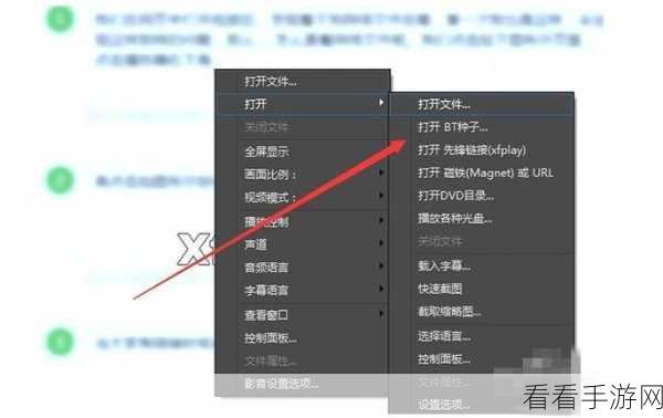 轻松掌握影音先锋，详细使用指南与技巧