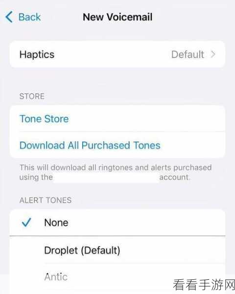 iPhone 短信提示音设置秘籍，轻松启用独特声音通知