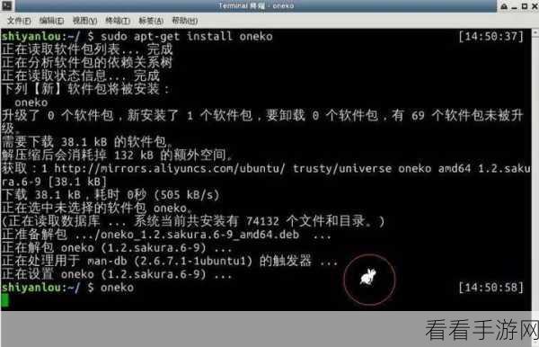 深入探究，Linux 命令 Install 的奥秘