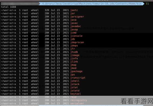 掌握 JDK 命令备份配置的秘诀