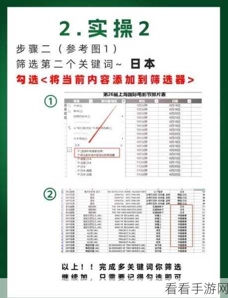 Excel 筛选技巧大揭秘，轻松获取所需内容