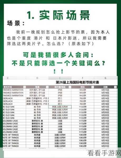 Excel 筛选技巧大揭秘，轻松获取所需内容