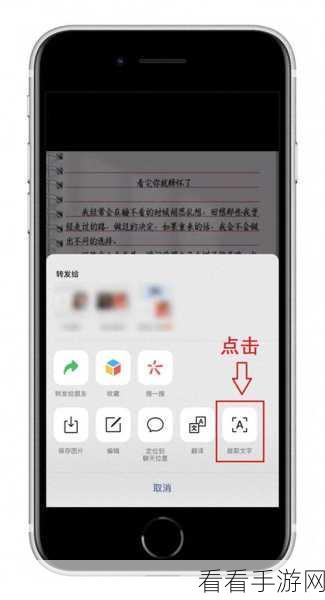 Word 图片组合秘籍，轻松搞定图片组合难题