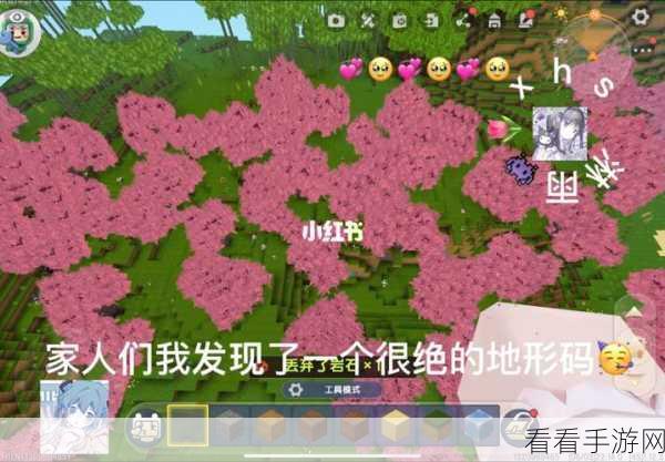 探秘迷你世界,雨林地形码全揭秘,解锁隐藏探险乐趣