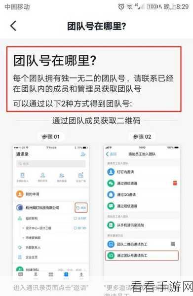 轻松掌握钉钉 ID 号码查看秘籍，图文详解