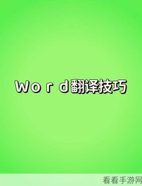 轻松掌握 Word 特定文字翻译秘籍