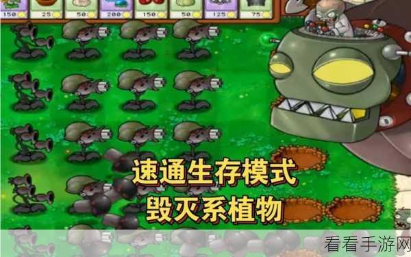 植物大战僵尸1-7关速通秘籍，策略与技巧大揭秘