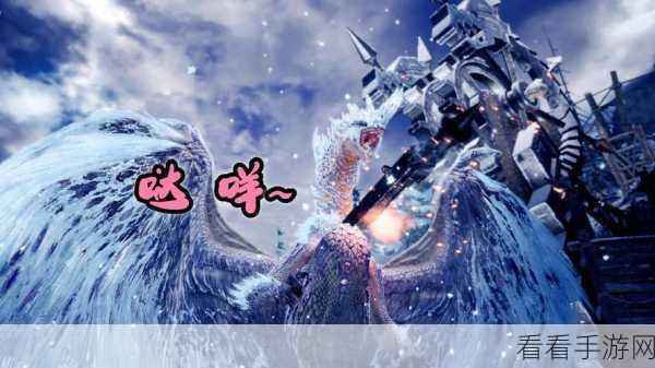 怪物猎人冰原，揭秘高效刷取攻击珠任务攻略