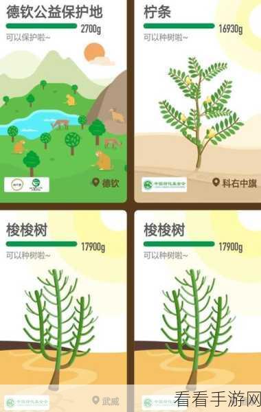 支付宝行走积分赛奖励领取秘籍大公开