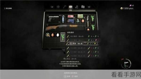 生化危机4重制版靶场1挑战全攻略,精准射击,征服每一个目标!