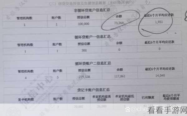 轻松掌握！支付宝查询征信报告全攻略