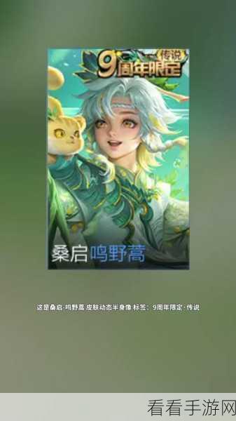 王者荣耀，桑启画中游限定皮肤独家获取秘籍，解锁峡谷新风尚！