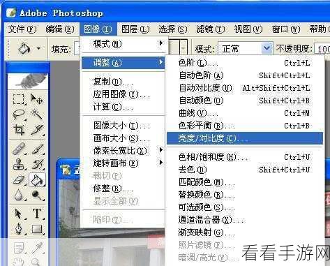 轻松掌握 Picture Manager 图片亮度对比度调整秘籍
