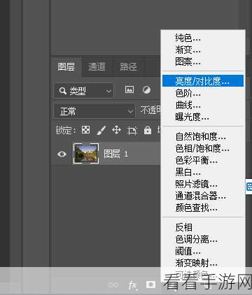 轻松掌握 Picture Manager 图片亮度对比度调整秘籍