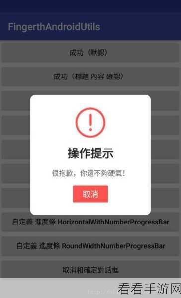 C中自定义 ShowTipsSuccess 提示框的秘诀大揭秘