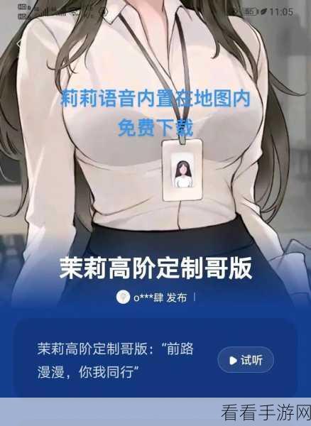 独家秘籍，轻松拿下导航骚气语音包，手机安装一步到位！