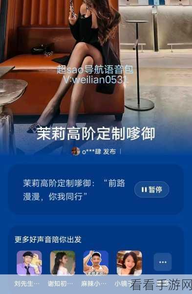 独家秘籍，轻松拿下导航骚气语音包，手机安装一步到位！
