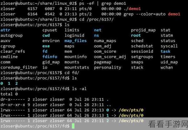 深入探究，Linux 命令 Dowent 的神秘作用