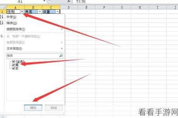 轻松掌握！WPS 表格筛选后显示数量的秘诀教程
