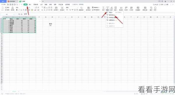 轻松掌握！WPS 表格筛选后显示数量的秘诀教程