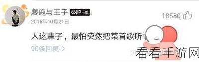 网易云抱抱他人评论秘籍，详细操作指南