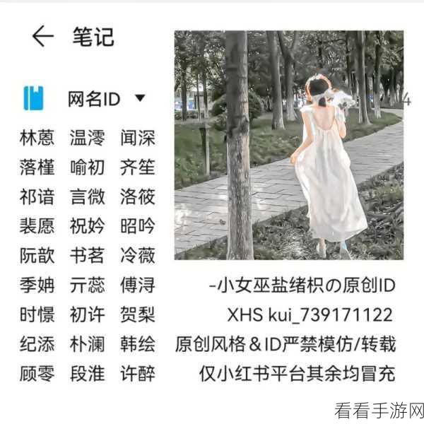 探寻微信号高级感 ID 的神秘世界，大全分享与独特魅力