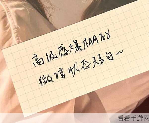 探寻微信号高级感 ID 的神秘世界，大全分享与独特魅力