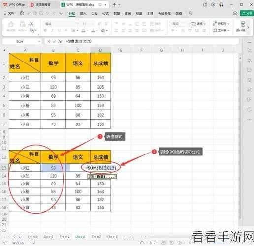 WPS 表格公式显示秘籍，轻松设置展现计算背后的秘密