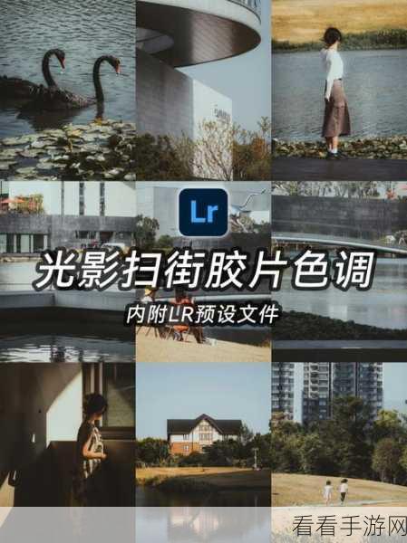 LR 软件添加暗角效果秘籍，轻松打造独特照片