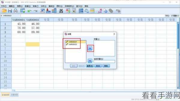 SPSS 数据转置秘籍，行与列轻松互换指南