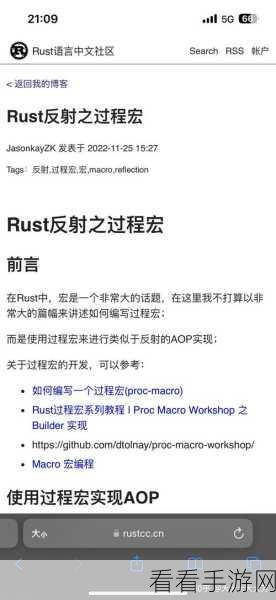 探索 Rust 语言与 Go 语言的独特适用领域