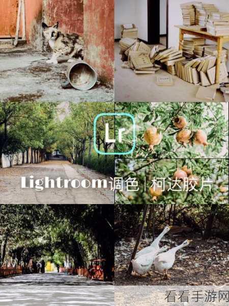 轻松掌握!Lightroom 原图恢复秘籍大公开