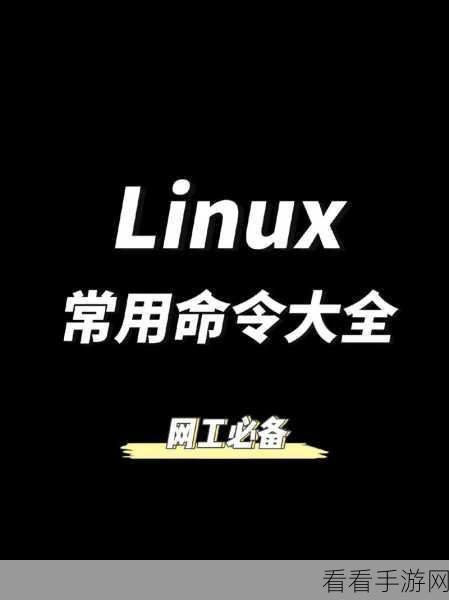轻松掌握 Linux 命令 Install 的学习秘籍